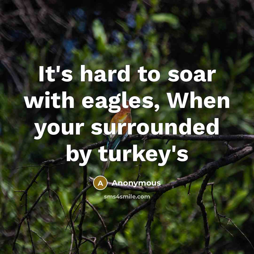 “It's hard to soar with eagles, When your surrounded by turkey's” quote by Anonymous