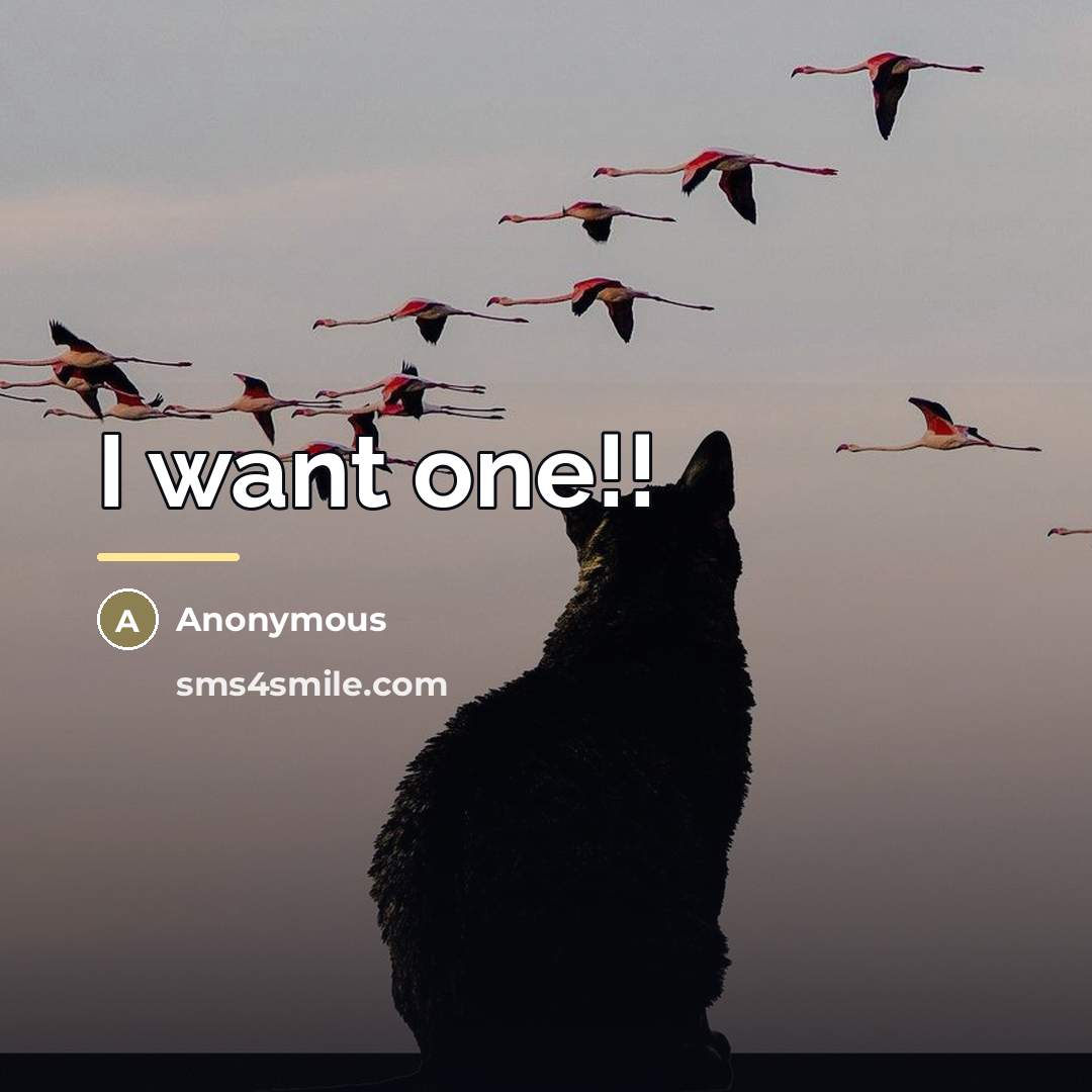 “I want one!!…” quote by Anonymous