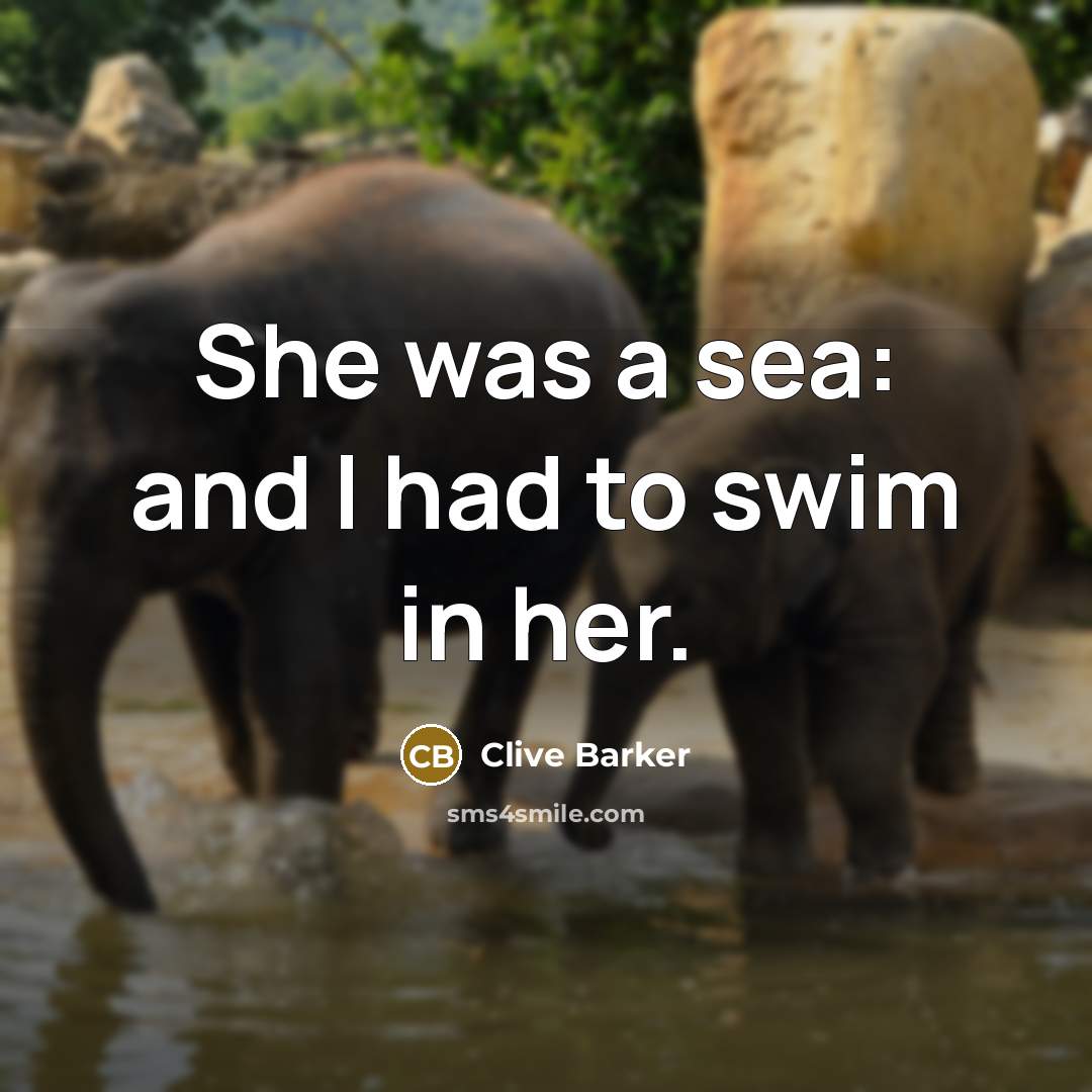 “She was a sea: and I had to swim in…” quote by Clive Barker