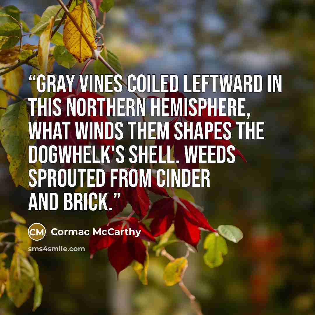 “Gray vines coiled leftward in this northern hemisphere, what winds them shapes the dogwhelk's shell. Weeds sprouted from cinder and brick.” quote by Cormac McCarthy