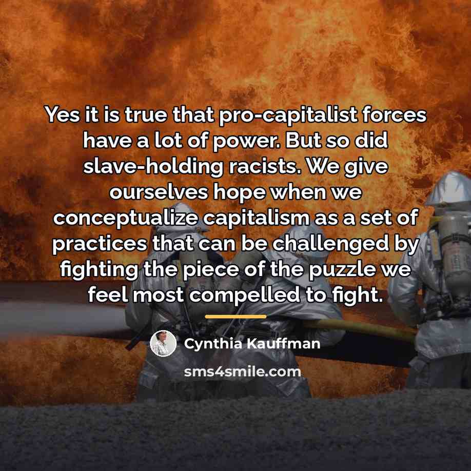 “Yes it is true that pro-capitalist forces have a lot…” quote by Cynthia Kauffman