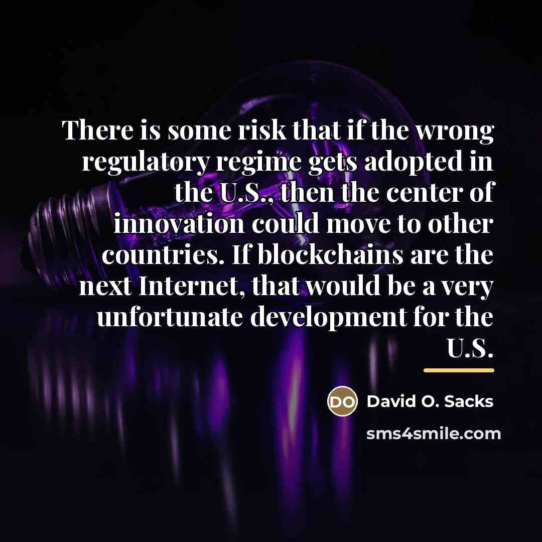 “There is some risk that if the wrong regulatory regime…” quote by David O. Sacks