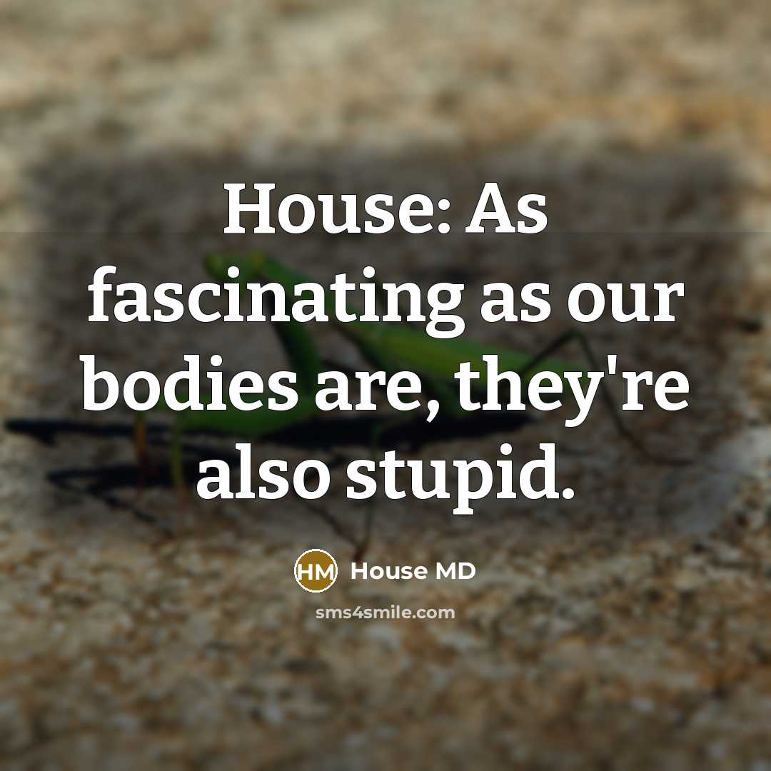 “House: As fascinating as our bodies are, they're also stupid.…” quote by House MD