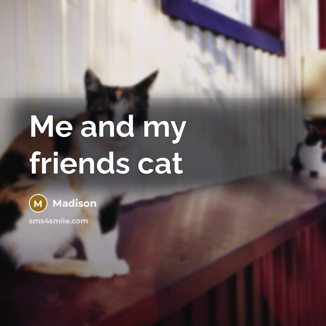 “Me and my friends cat…” quote by Madison
