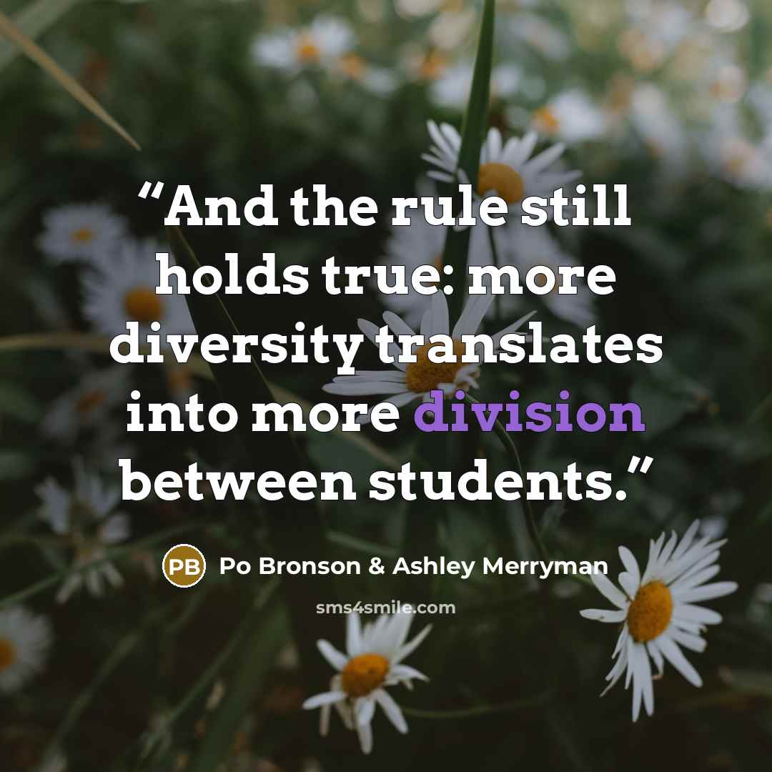 “And the rule still holds true: more diversity translates into more division between students.” quote by Po Bronson & Ashley Merryman