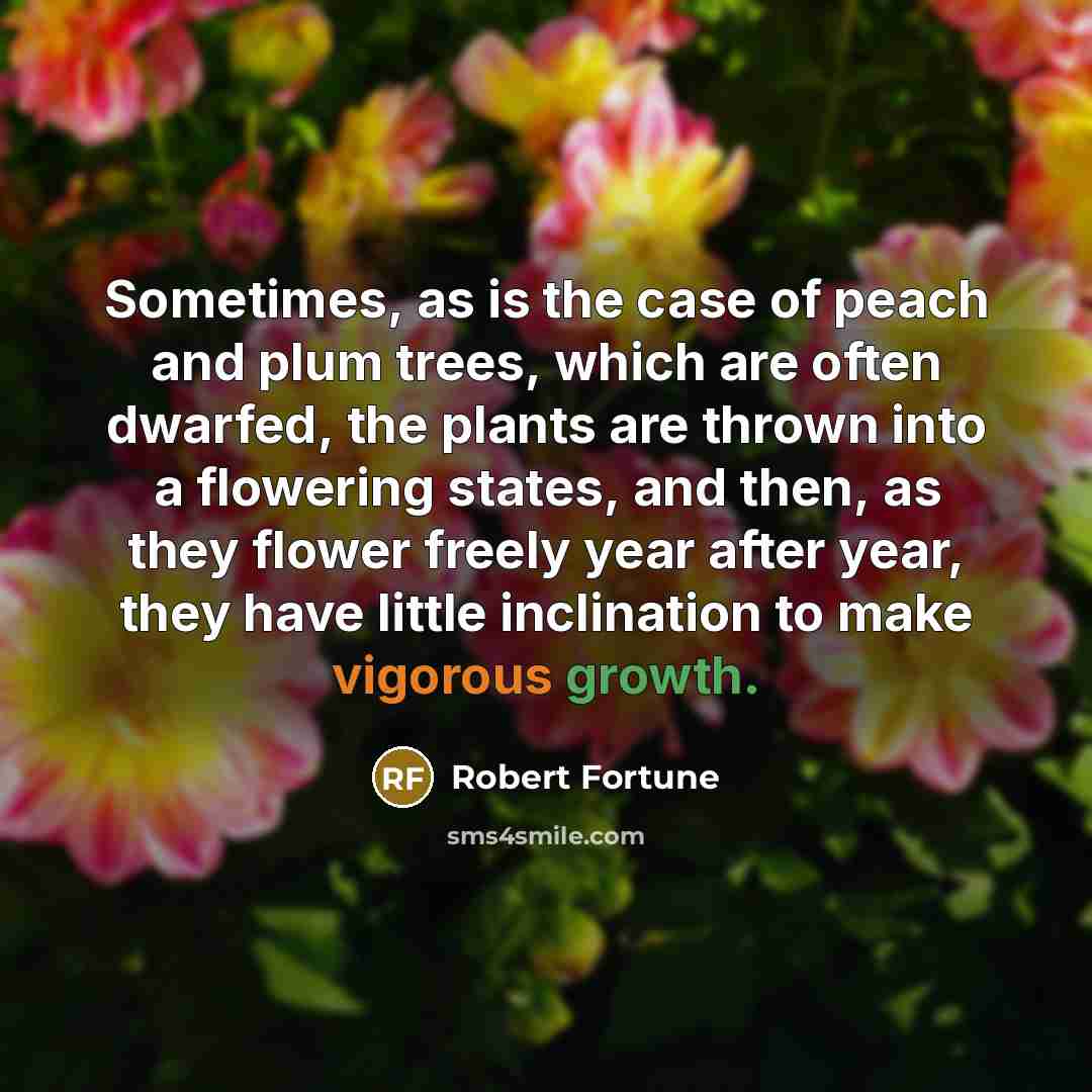 “Sometimes, as is the case of peach and plum trees,…” quote by Robert Fortune