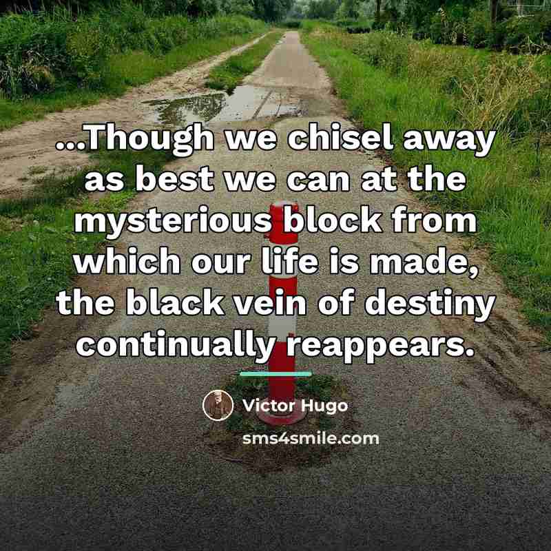 “...Though we chisel away as best we can at the…” quote by Victor Hugo