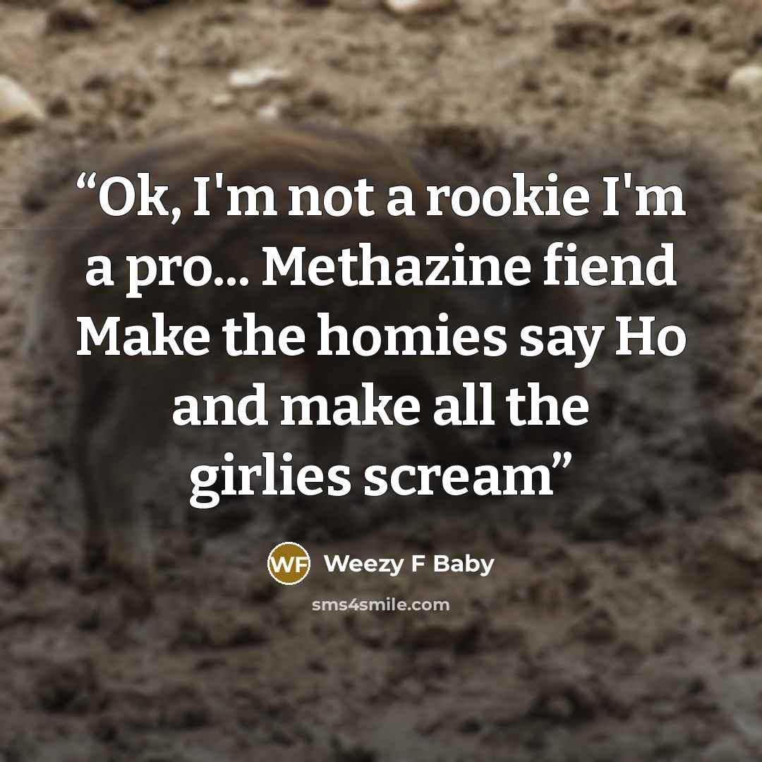 “Ok, I'm not a rookie I'm a pro... Methazine fiend Make the homies say Ho and make all the girlies scream” quote by Weezy F Baby