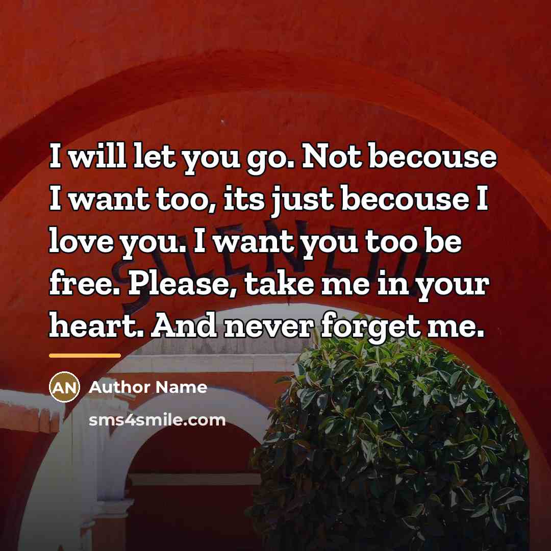 “I will let you go. Not becouse I want too,…” quote by Author Name