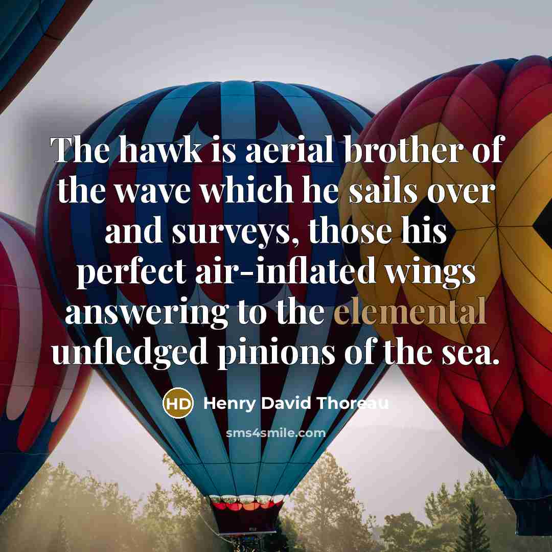 “The hawk is aerial brother of the wave which he…” quote by Henry David Thoreau