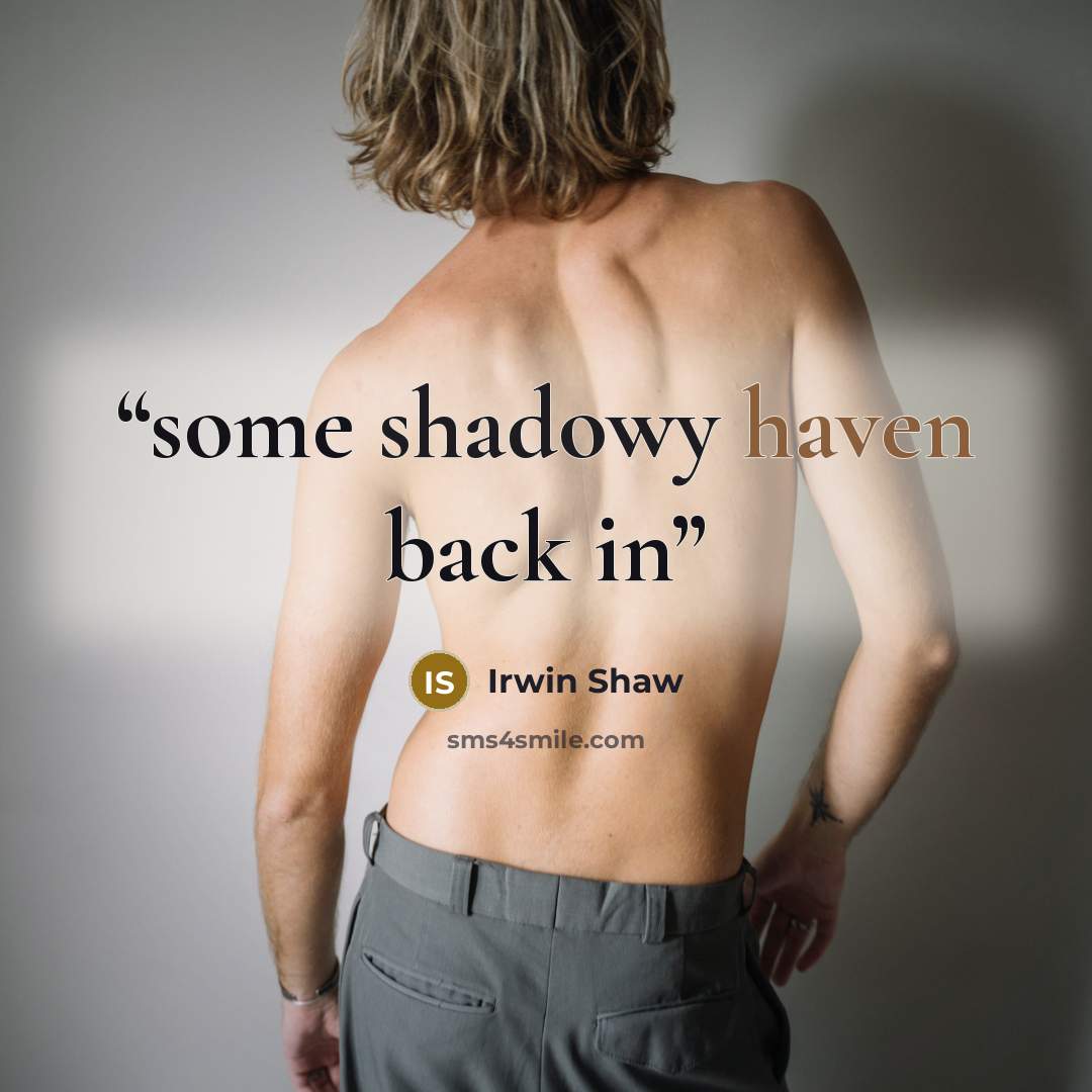 “some shadowy haven back in” quote by Irwin Shaw