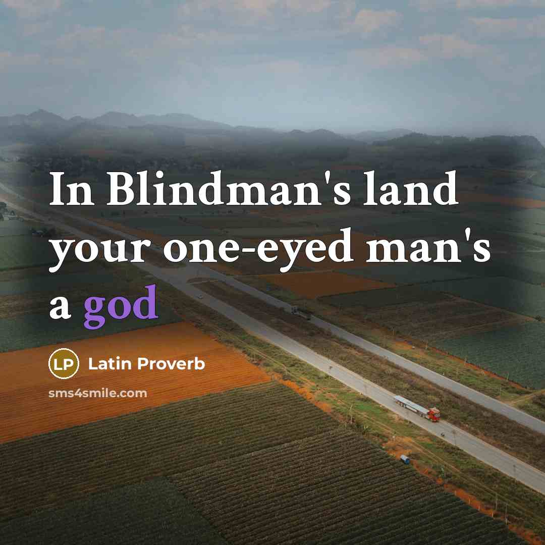 “In Blindman's land your one-eyed man's a god…” quote by Latin Proverb