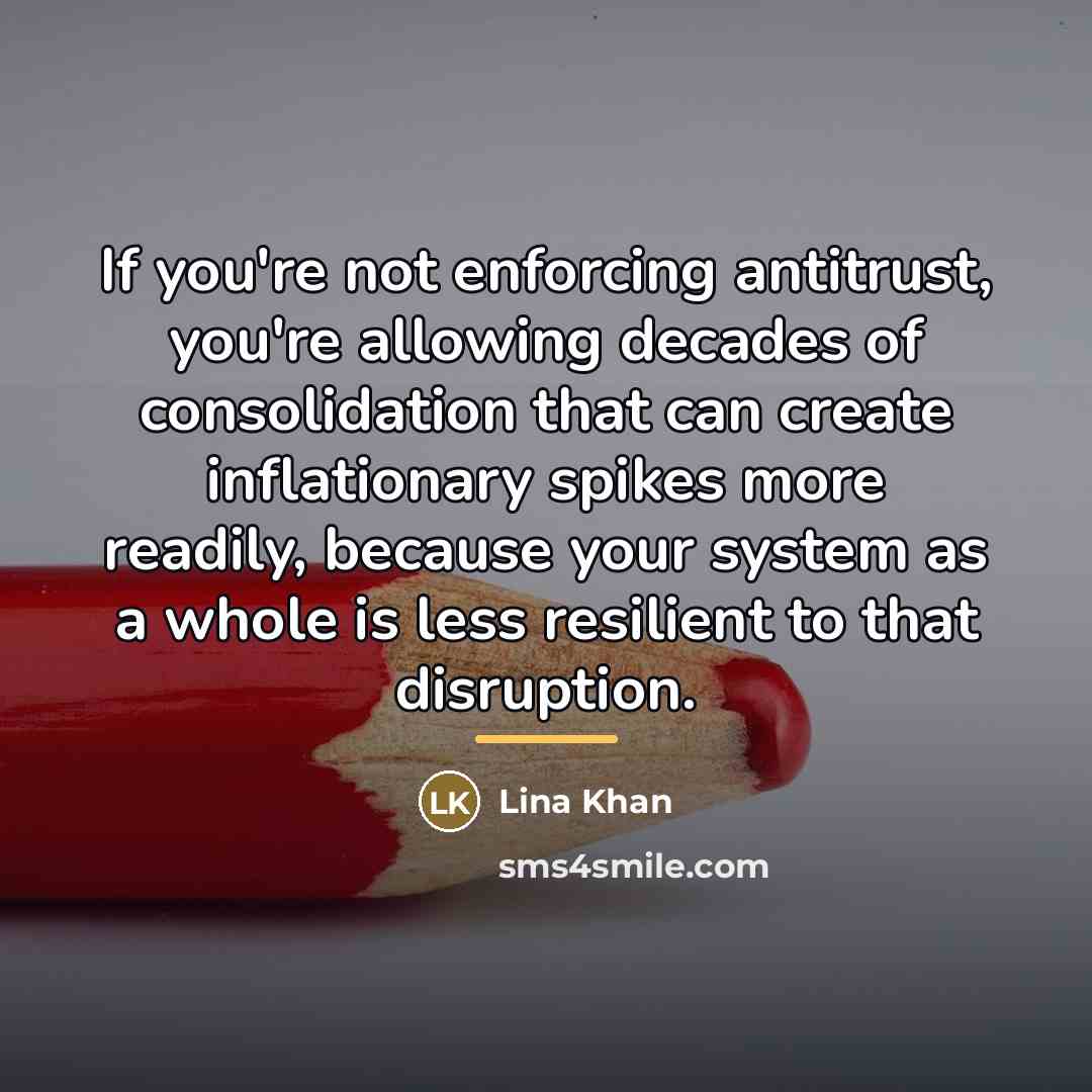 “If you're not enforcing antitrust, you're allowing decades of consolidation…” quote by Lina Khan