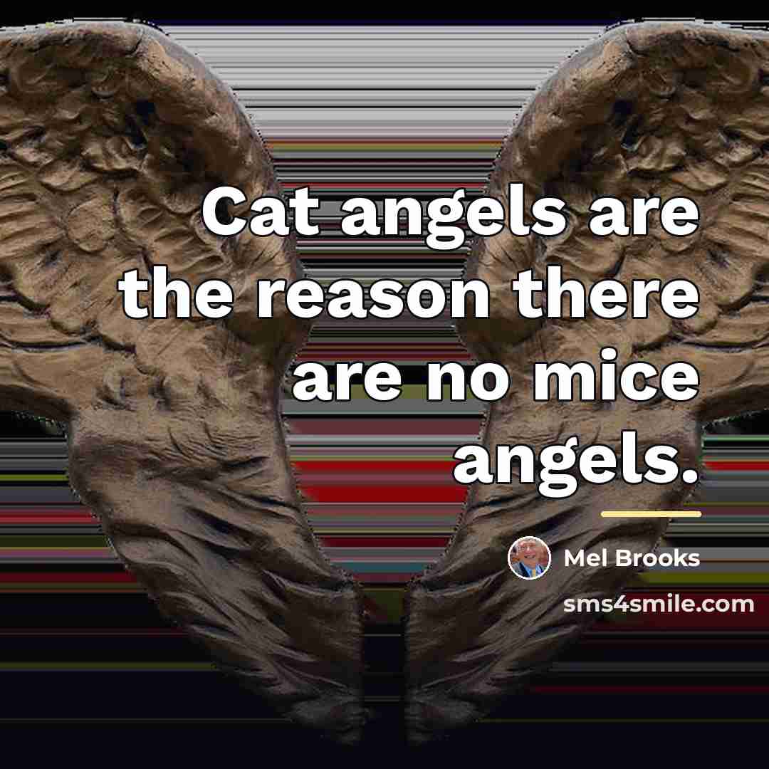 “Cat angels are the reason there are no mice angels.…” quote by Mel Brooks