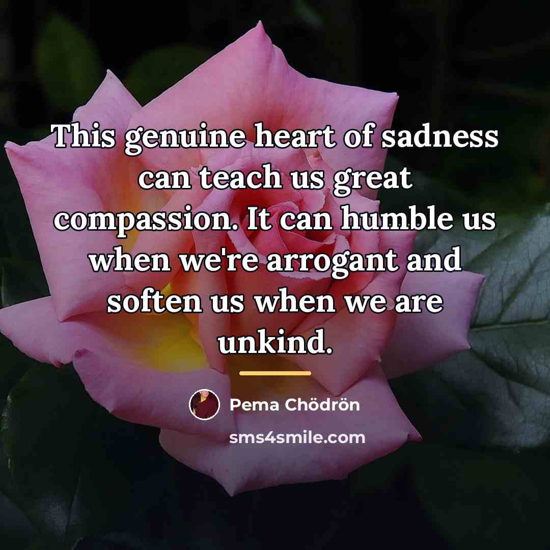 “This genuine heart of sadness can teach us great compassion.…” quote by Pema Chodron