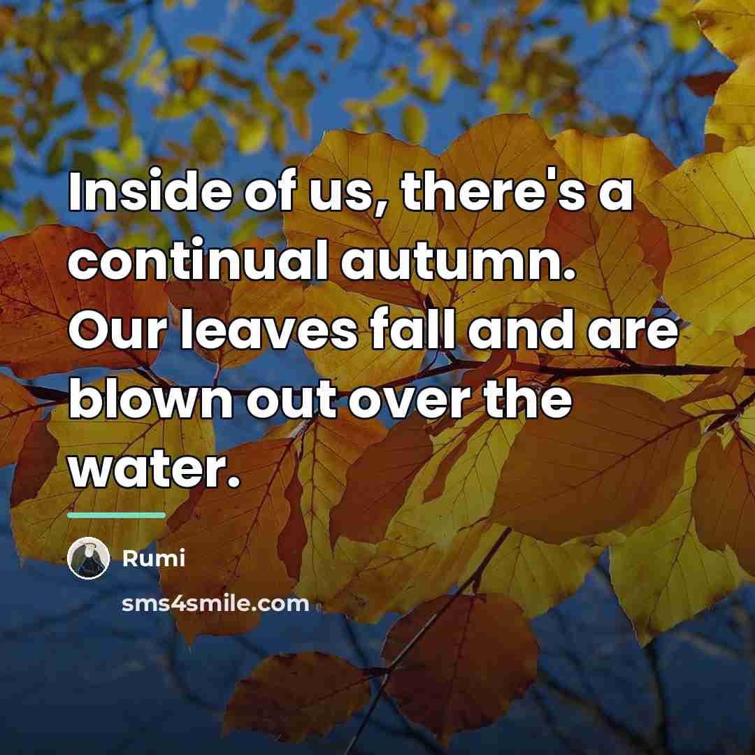 “Inside of us, there's a continual autumn. Our leaves fall…” quote by Rumi
