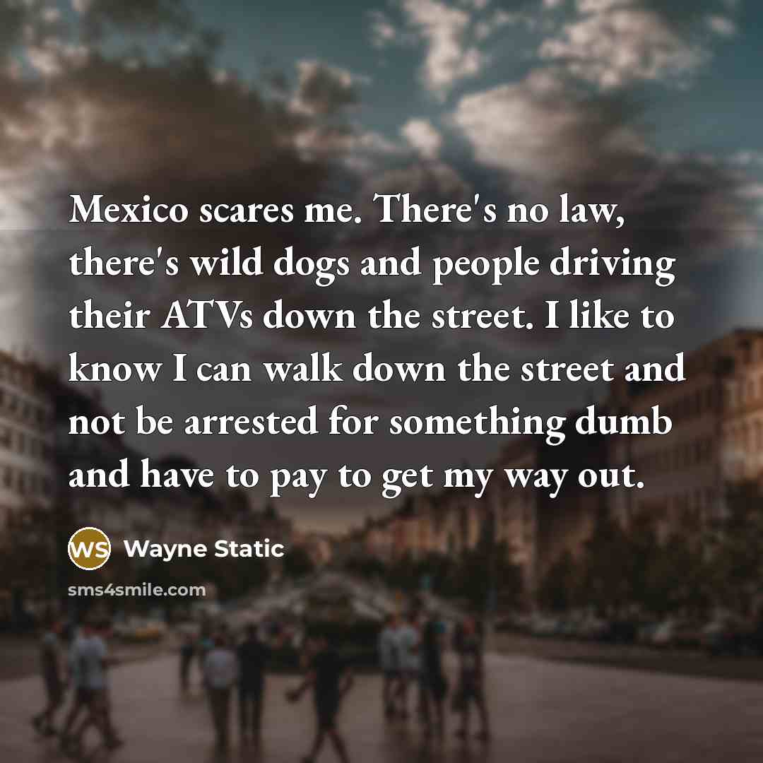 “Mexico scares me. There's no law, there's wild dogs and…” quote by Wayne Static