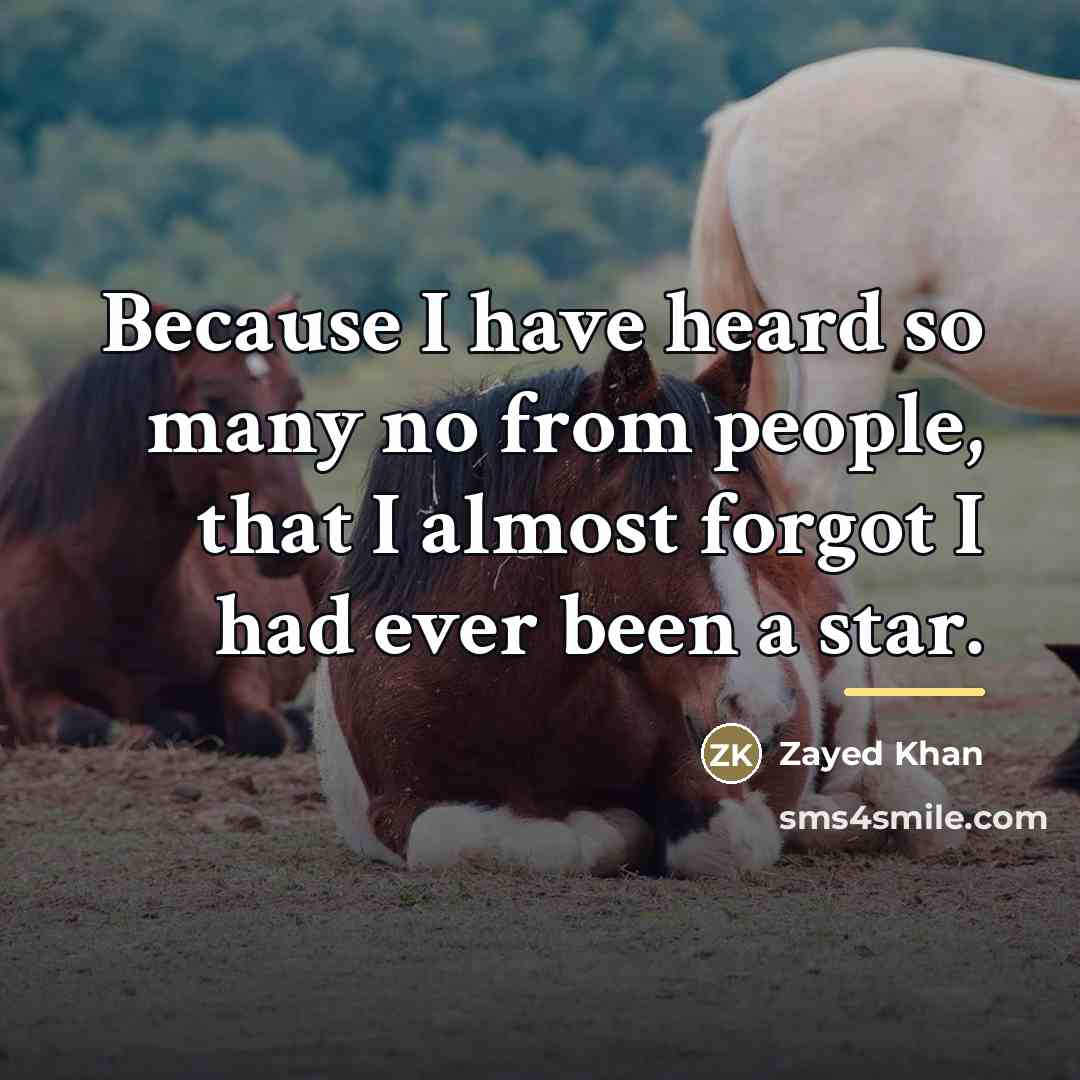 “Because I have heard so many no from people, that…” quote by Zayed Khan