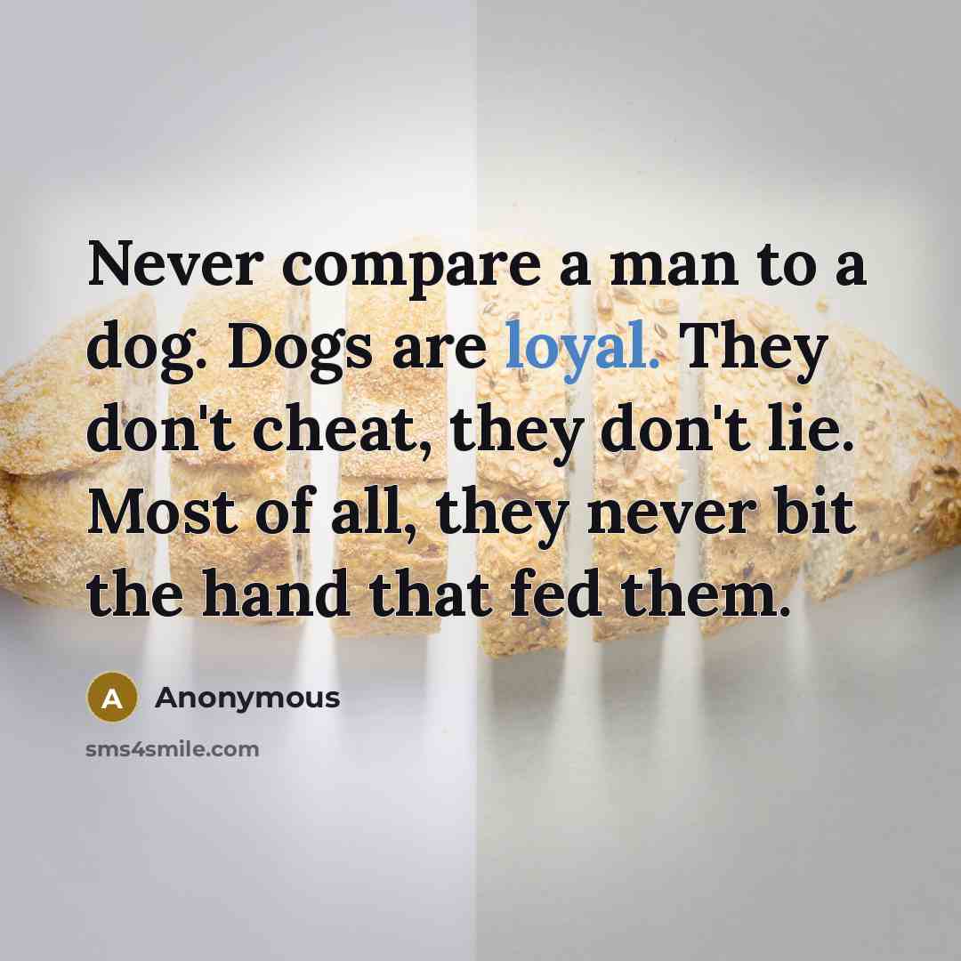 “Never compare a man to a dog. Dogs are loyal.…” quote by Anonymous