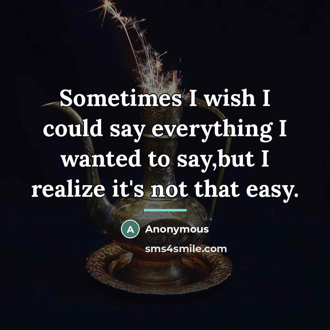 “Sometimes I wish I could say everything I wanted to…” quote by Anonymous