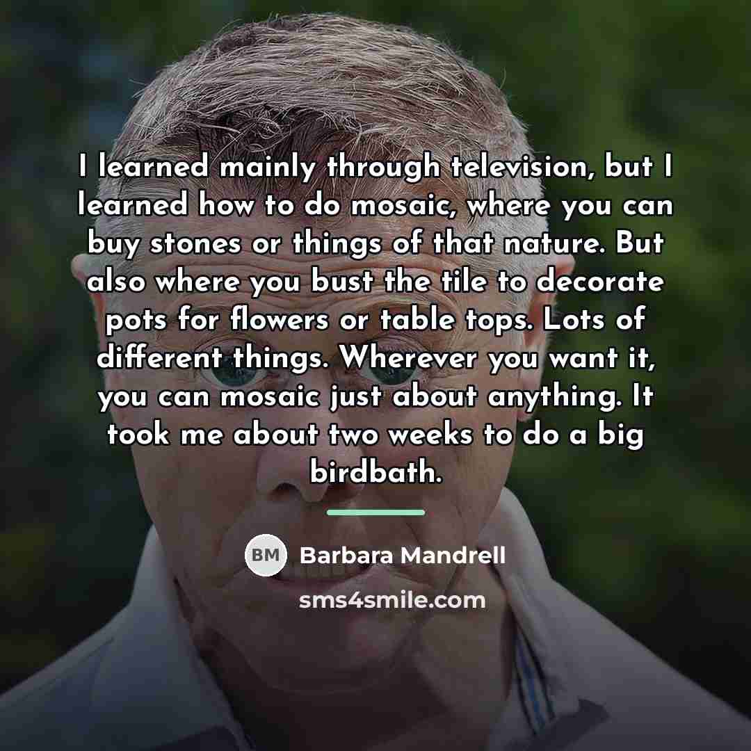 “I learned mainly through television, but I learned how to…” quote by Barbara Mandrell