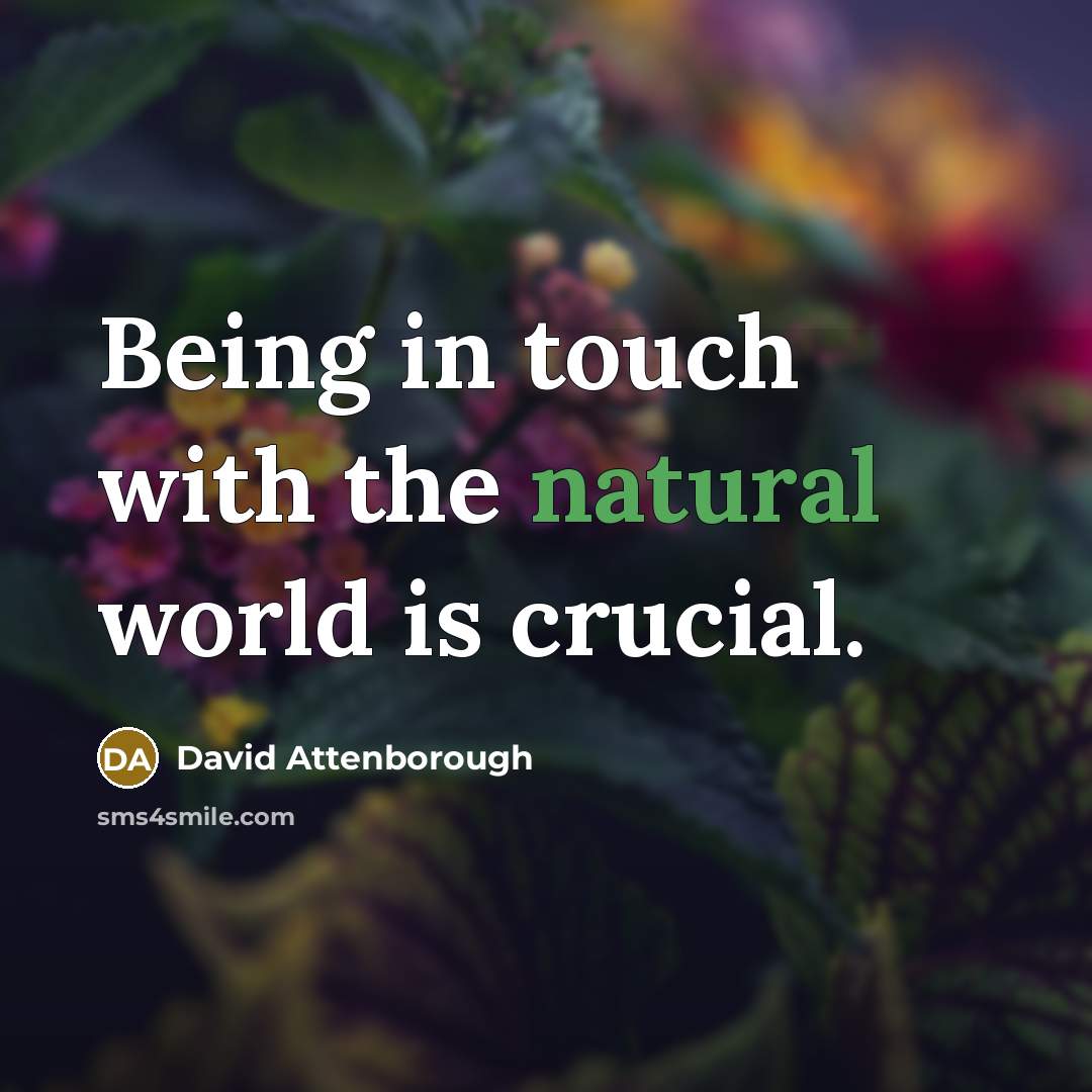 “Being in touch with the natural world is crucial.…” quote by David Attenborough