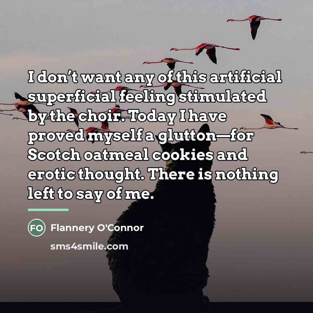 “I don’t want any of this artificial superficial feeling stimulated…” quote by Flannery O'Connor