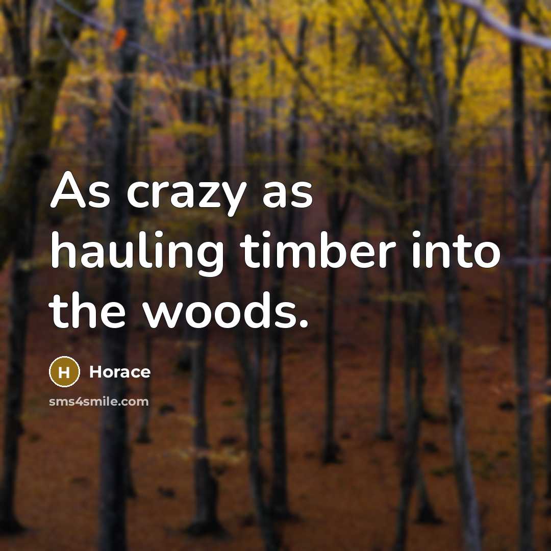 “As crazy as hauling timber into the woods.…” quote by Horace