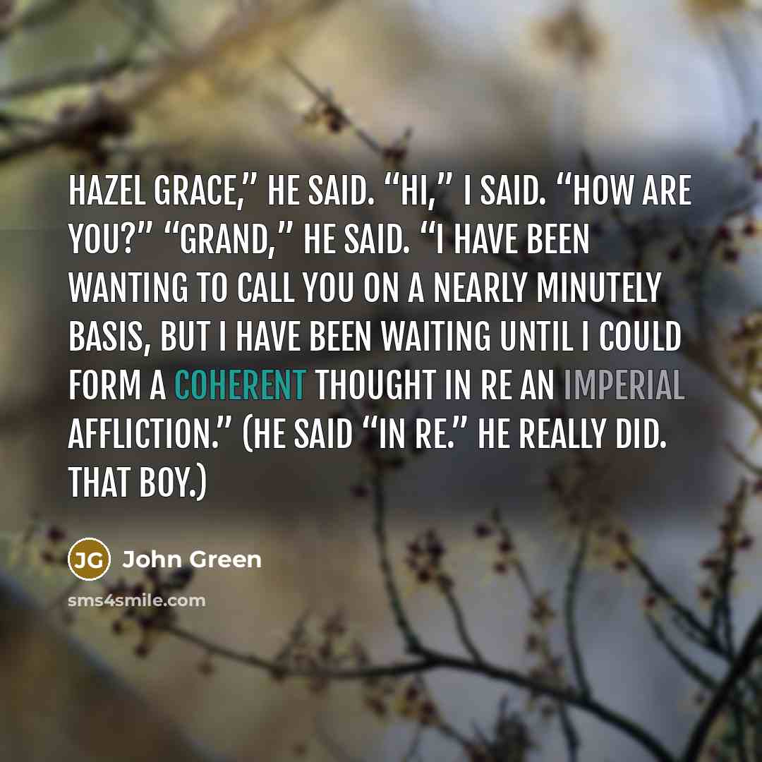 “Hazel Grace,” he said. “Hi,” I said. “How are you?”…” quote by John Green