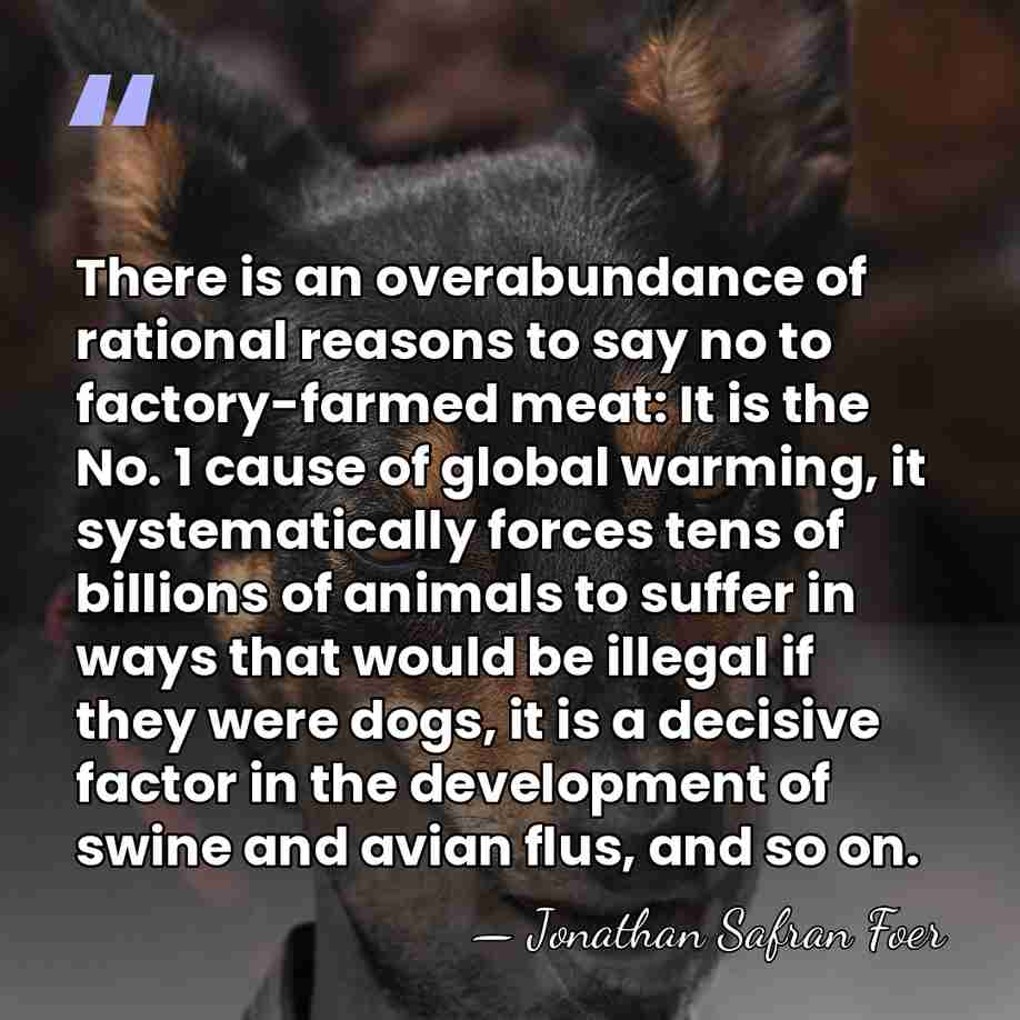 There is an overabundance of rational reasons to say no to factory-farmed&hellip; - Jonathan Safran Foer
