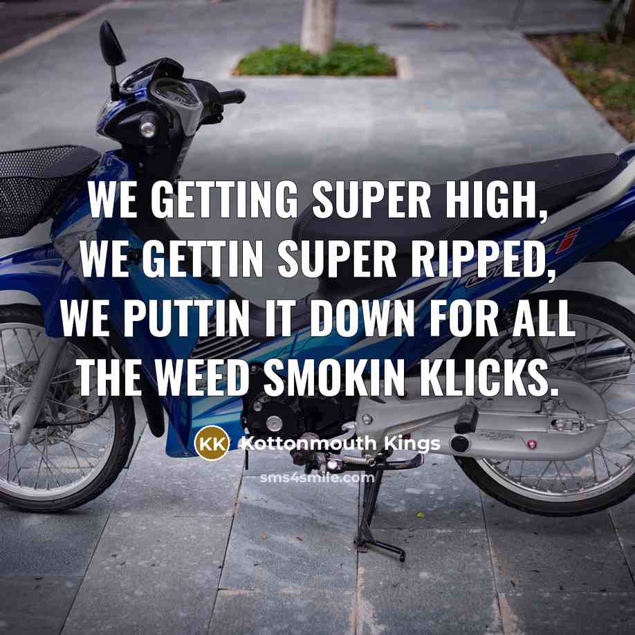 “We getting super high, we gettin super ripped, we puttin…” quote by Kottonmouth Kings