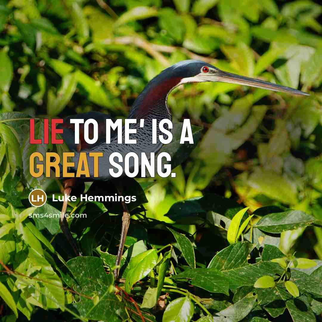 “Lie to Me' is a great song.…” quote by Luke Hemmings