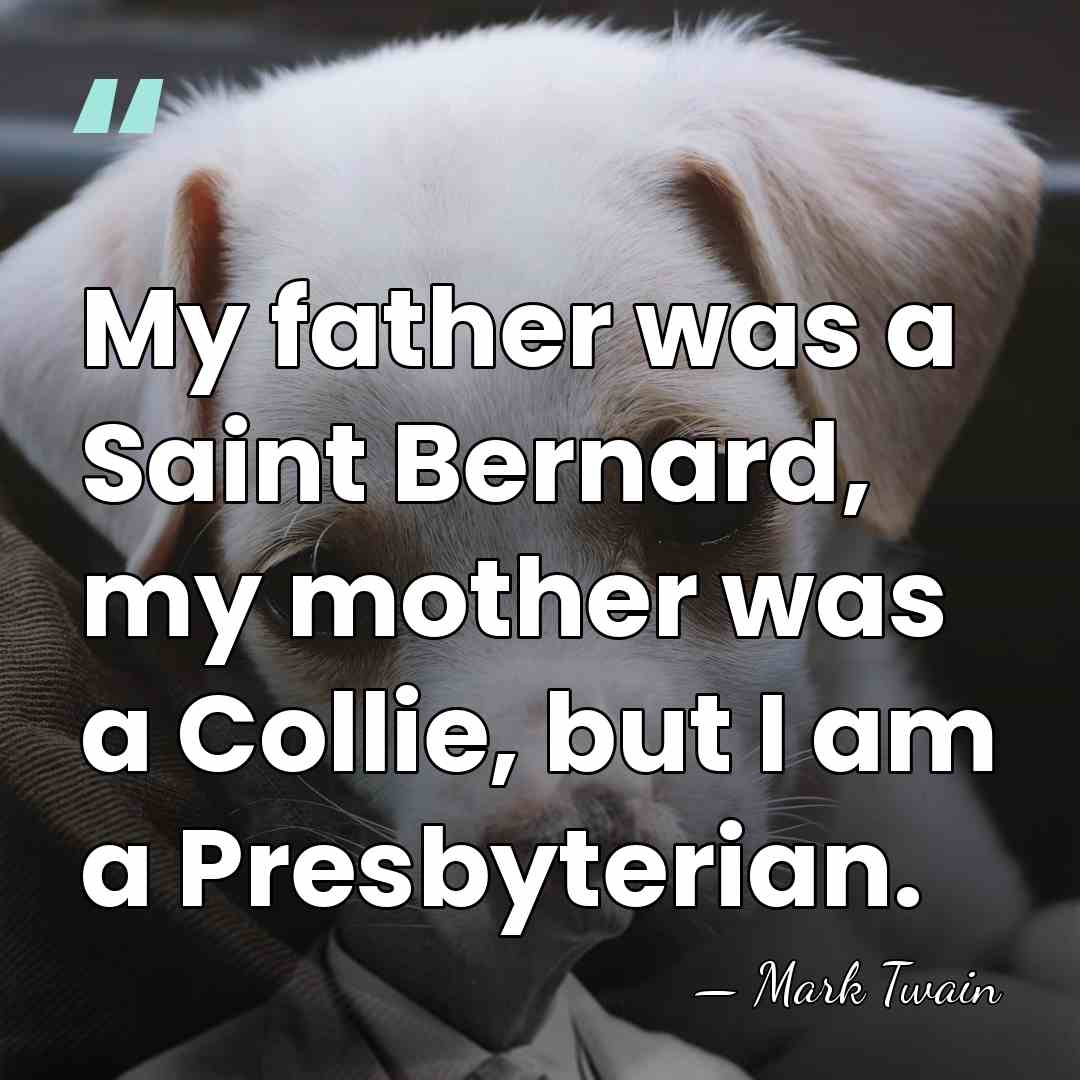 My father was a Saint Bernard, my mother was a Collie, but&hellip; - Mark Twain