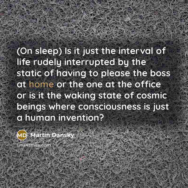 “(On sleep) Is it just the interval of life rudely…” quote by Martin Dansky