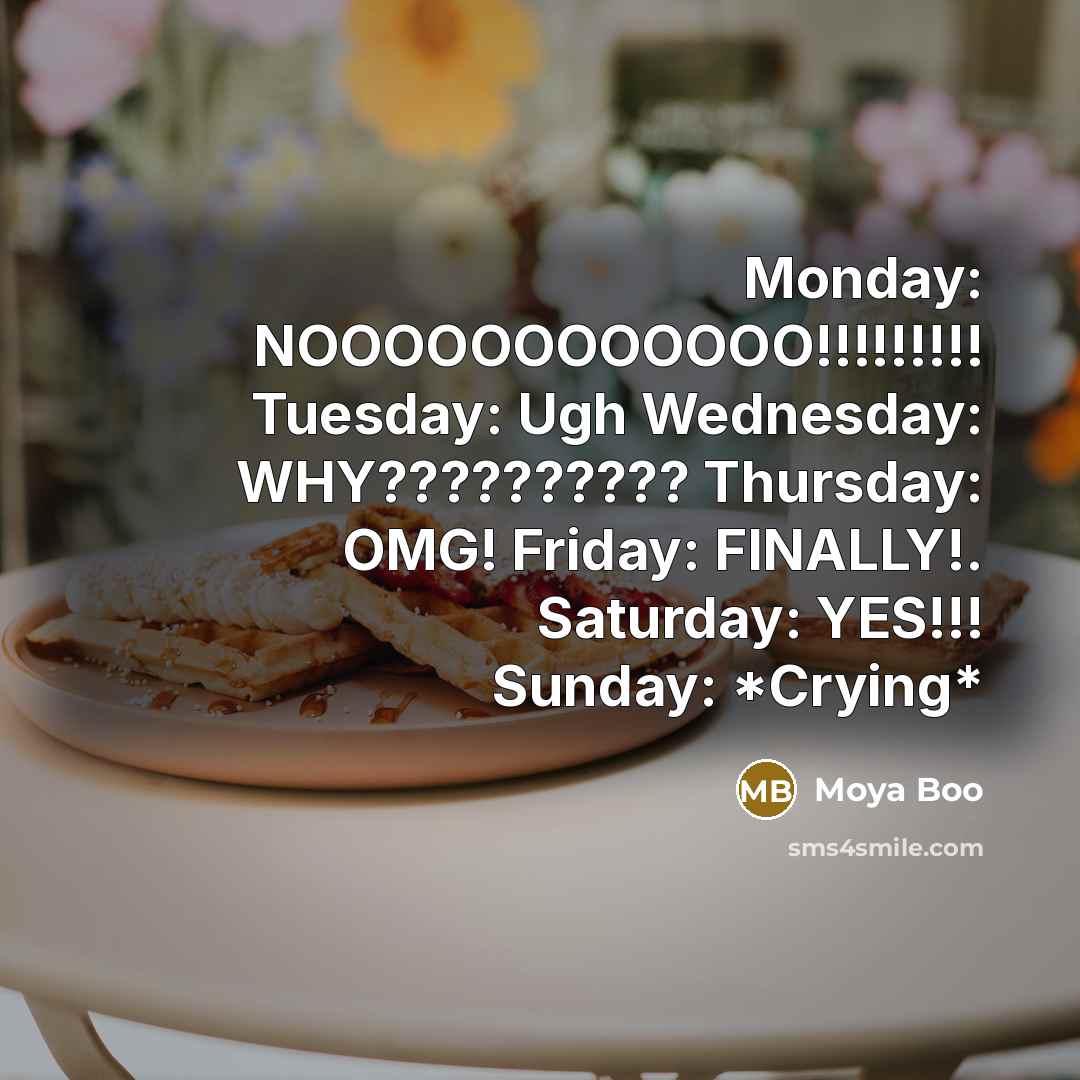 “Monday: NOOOOOOOOOOOO!!!!!!!!! Tuesday: Ugh Wednesday: WHY?????????? Thursday: OMG! Friday: FINALLY!.…” quote by Moya Boo