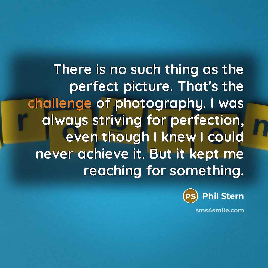 “There is no such thing as the perfect picture. That's…” quote by Phil Stern