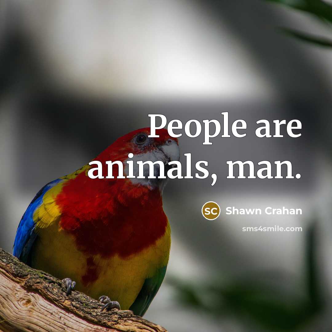 “People are animals, man.…” quote by Shawn Crahan