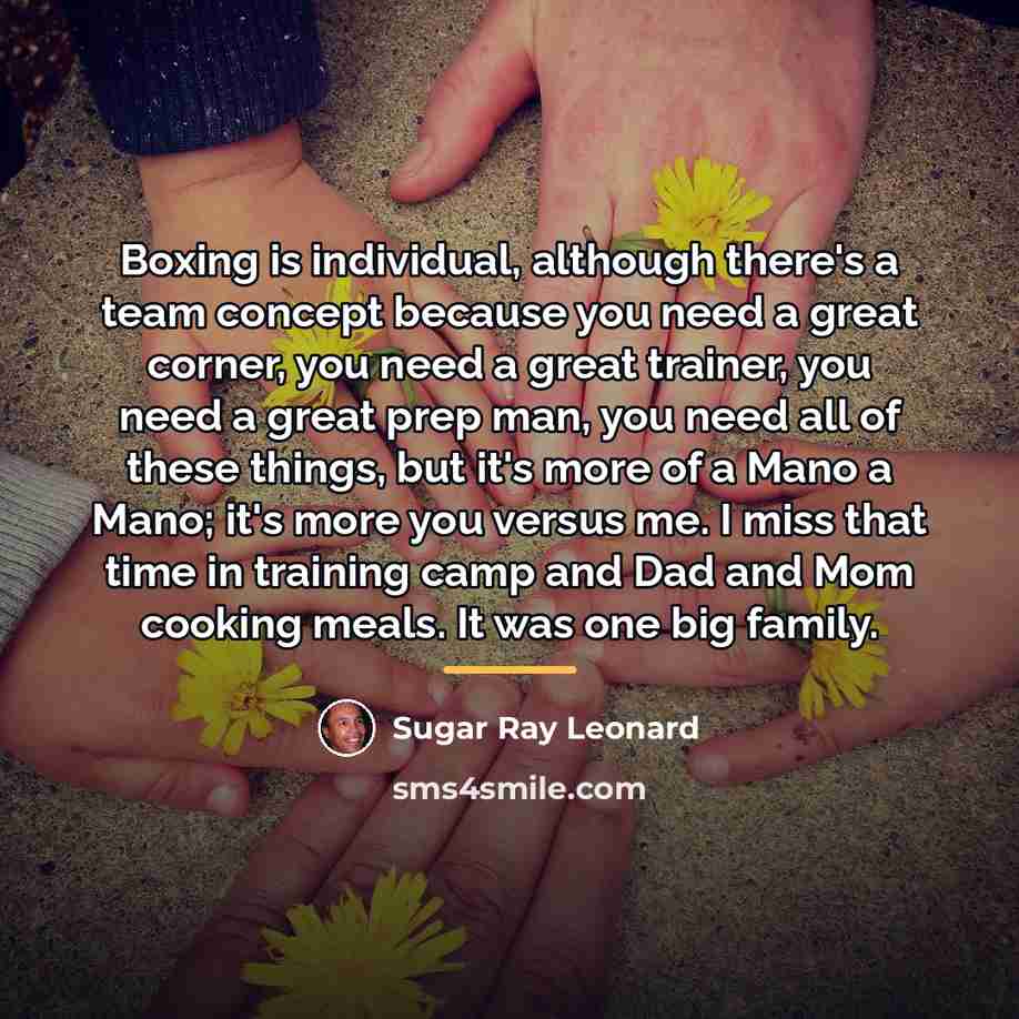 “Boxing is individual, although there's a team concept because you…” quote by Sugar Ray Leonard