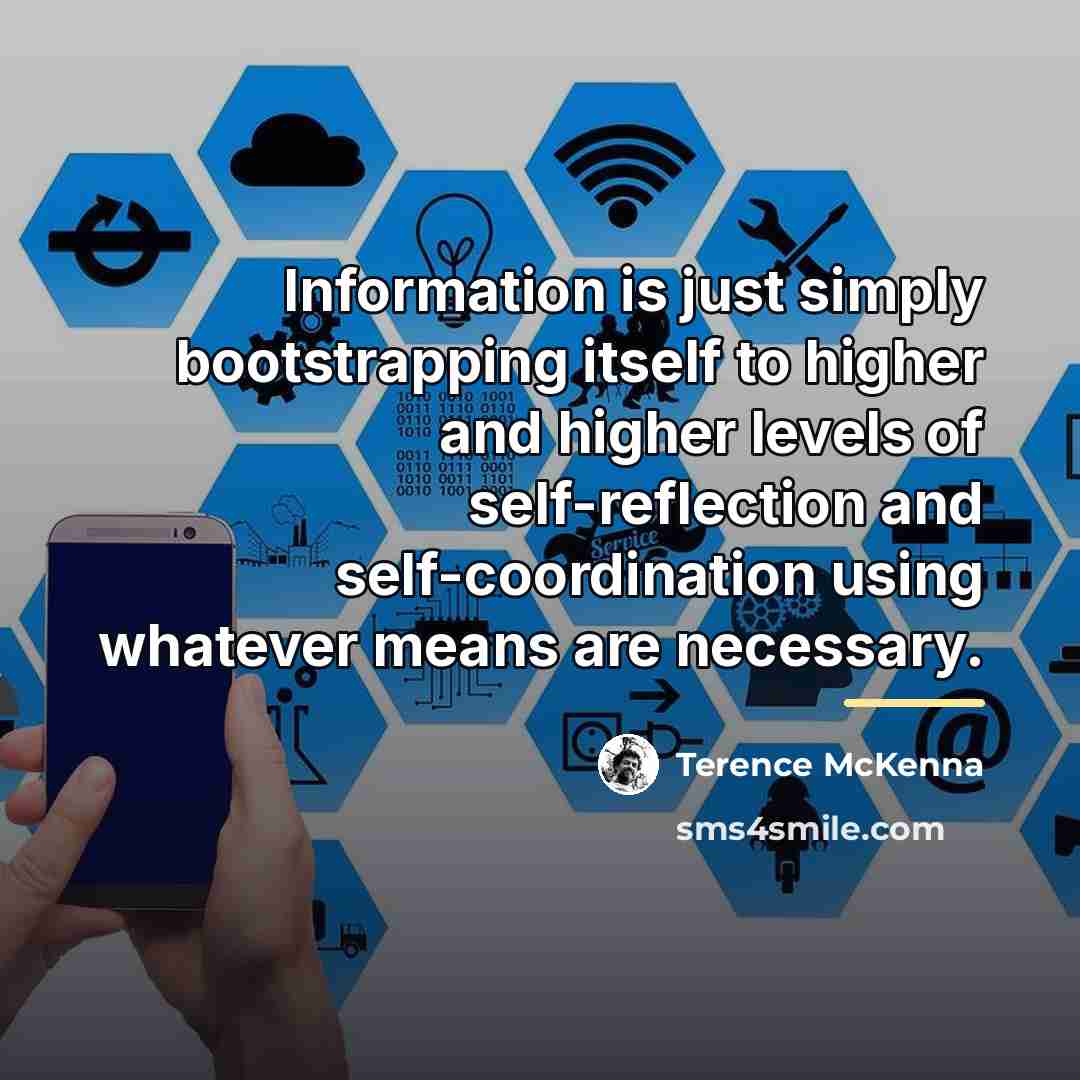 “Information is just simply bootstrapping itself to higher and higher…” quote by Terence McKenna