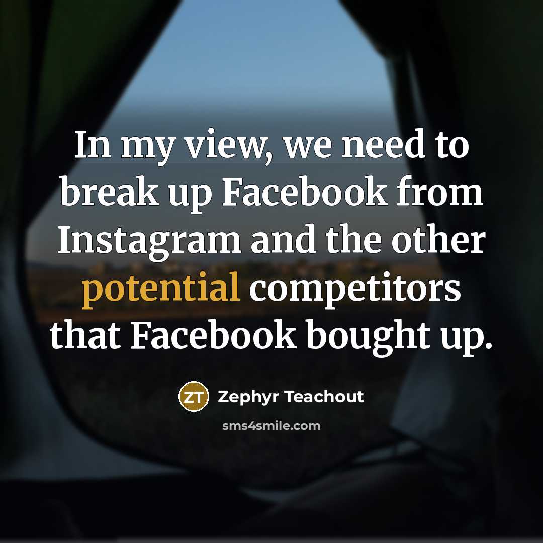 “In my view, we need to break up Facebook from…” quote by Zephyr Teachout