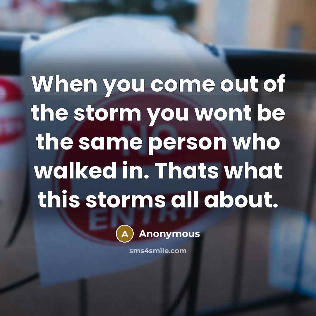 “When you come out of the storm you wont be…” quote by Anonymous