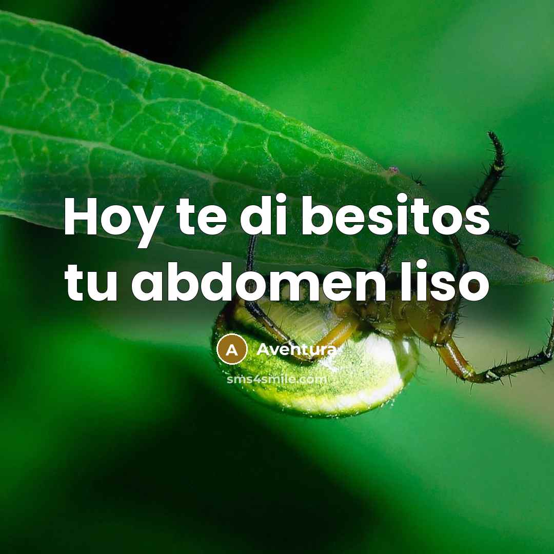 “Hoy te di besitos tu abdomen liso…” quote by Aventura