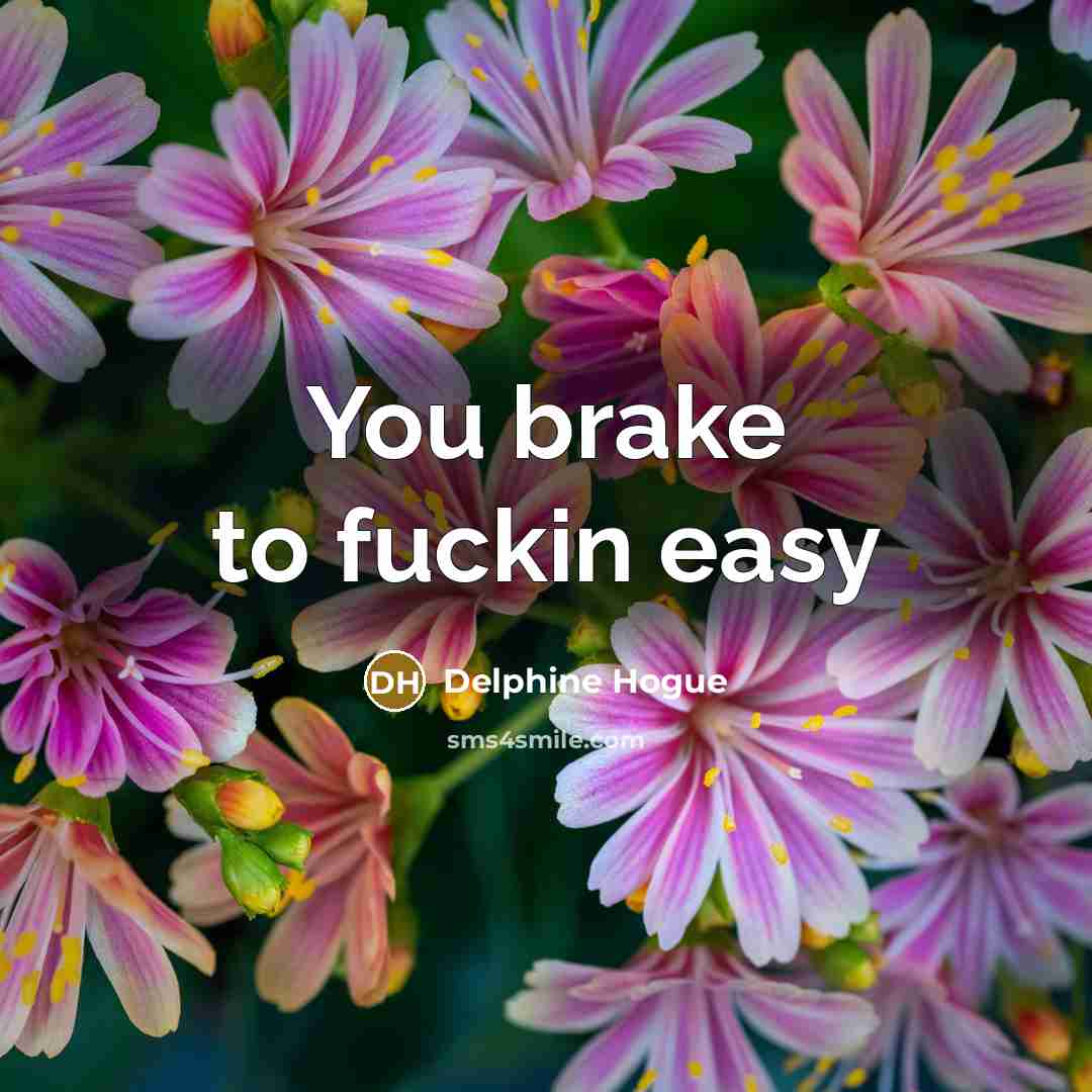 “You brake to fuckin easy” quote by Delphine Hogue