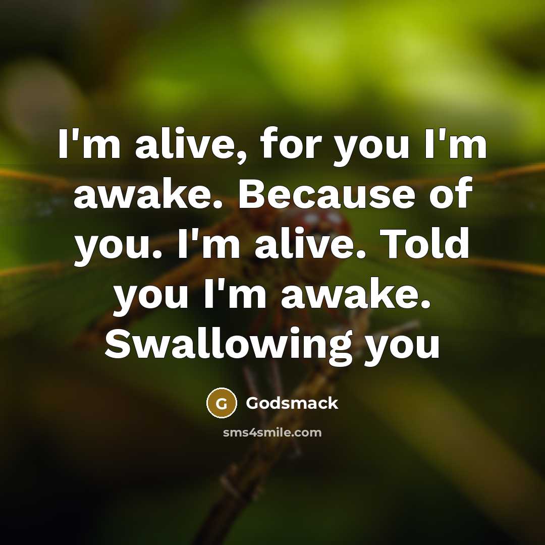 “I'm alive, for you I'm awake. Because of you. I'm…” quote by Godsmack