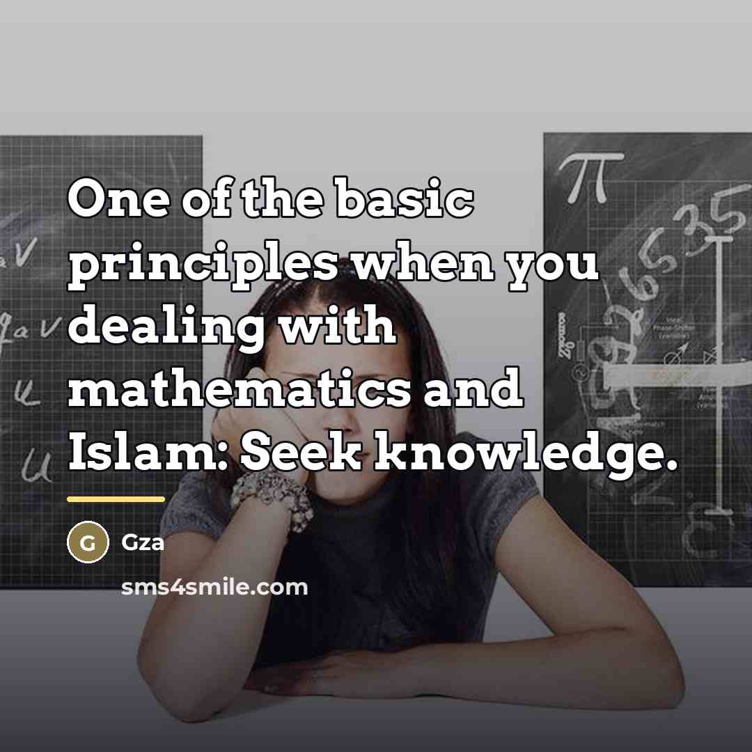 “One of the basic principles when you dealing with mathematics…” quote by Gza