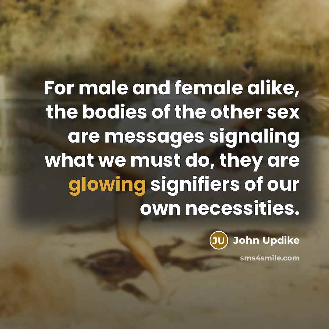“For male and female alike, the bodies of the other…” quote by John Updike
