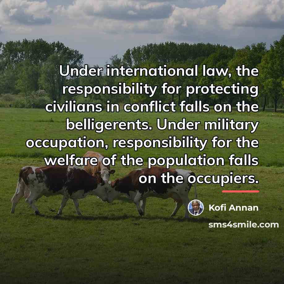 “Under international law, the responsibility for protecting civilians in conflict…” quote by Kofi Annan
