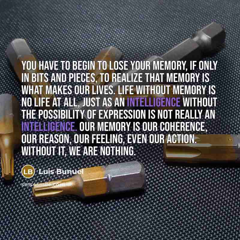 “You have to begin to lose your memory, if only…” quote by Luis Buñuel