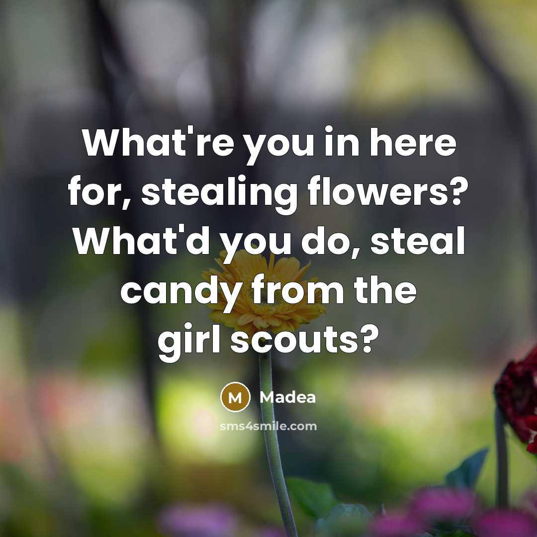 “What're you in here for, stealing flowers? What'd you do,…” quote by Madea