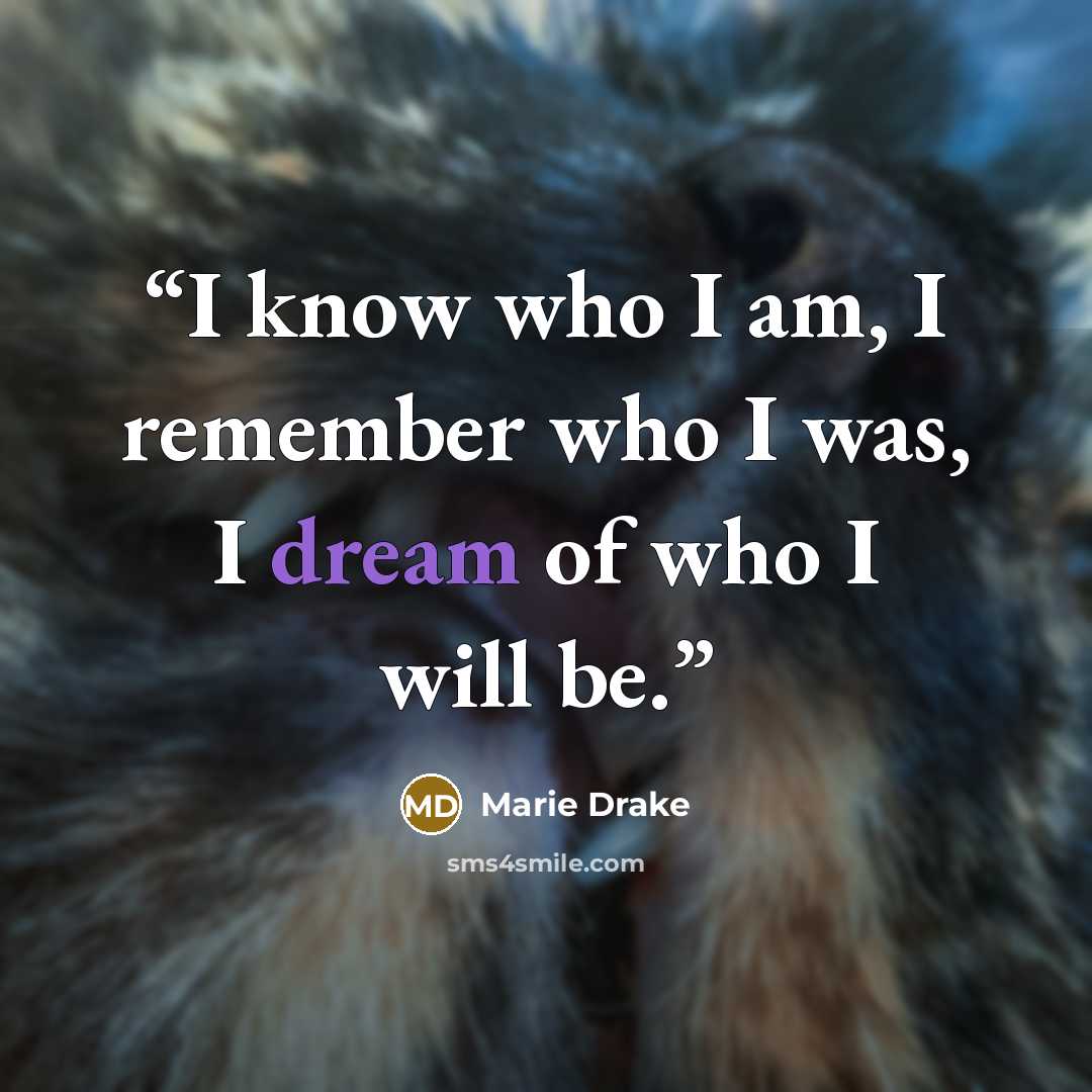 “I know who I am, I remember who I was, I dream of who I will be.” quote by Marie Drake